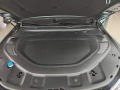 XPeng P7 P7i 610 Peng Wing Performance Edition - photo 19