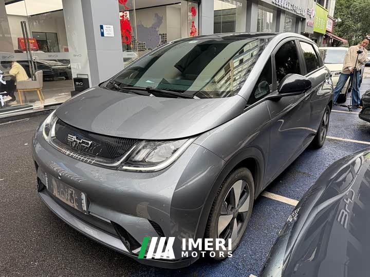 BYD Dolphin 420km Fashion Edition