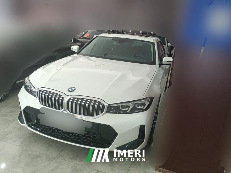 BMW 3 Series 320Li M Sport Package - автомобиль из Китая