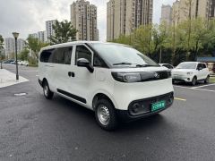 Maxus Dà Ná V1L EV Edition 340km Edition - ფოტო 3