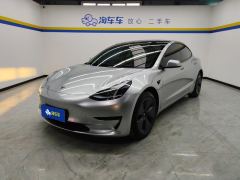 Tesla Model 3 556km Rear-Wheel Drive Edition - photo 1