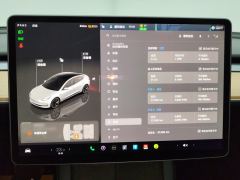 Tesla Model 3 556km Rear-Wheel Drive Edition - photo 20