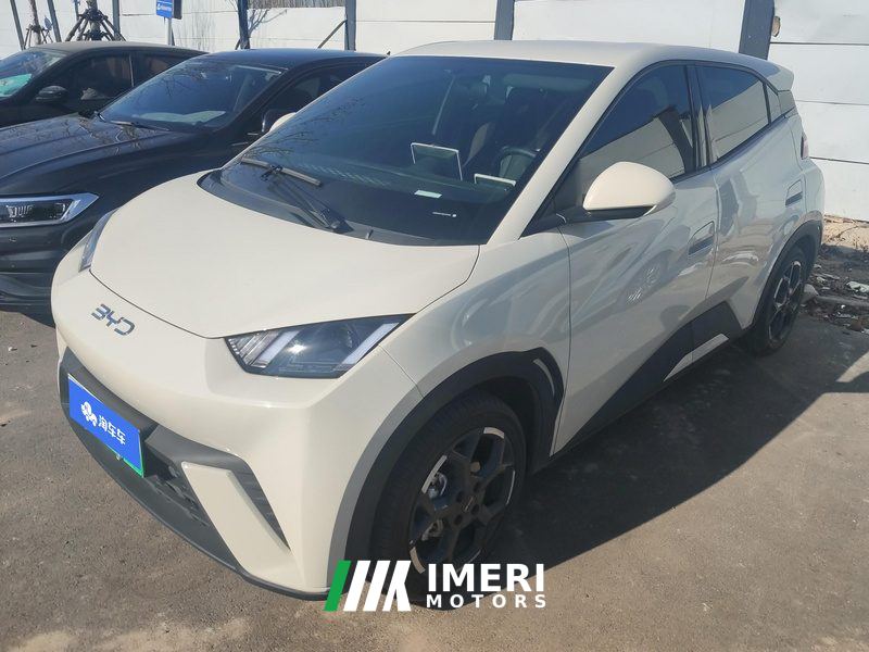 BYD Seagull 305km Free Version
