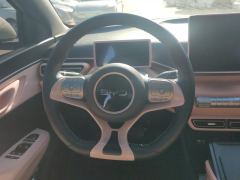 BYD Seagull 305km Free Version - ფოტო 18