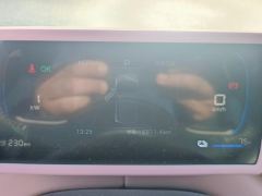 BYD Seagull 305km Free Version - ფოტო 20