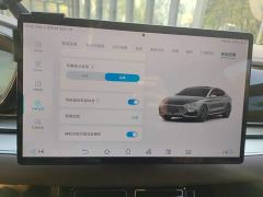 BYD Han DM-i Champion Edition 121KM Premium - photo 20