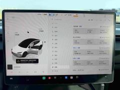 Tesla Model 3 Rear-Wheel Drive - ფოტო 17