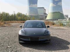 Tesla Model 3 Rear-Wheel Drive - ფოტო 2