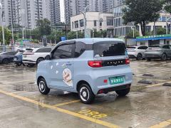 Wuling Hongguang MINIEV Easy Edition LFP Battery - photo 4