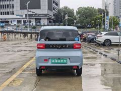 Wuling Hongguang MINIEV Easy Edition LFP Battery - photo 5
