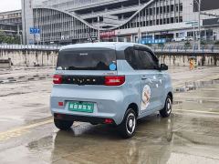 Wuling Hongguang MINIEV Easy Edition LFP Battery - photo 6