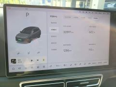 Li Auto L6 Pro - ფოტო 7