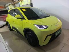BYD Seagull Vitality Edition - ფოტო 3