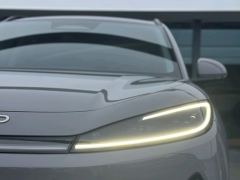 BYD Haima Lion 05EV 520km Edition - ფოტო 4