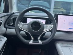 BYD Haima Lion 05EV 520km Edition - ფოტო 6