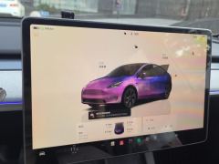 Tesla Model Y 554km Rear-Wheel Drive Edition - фото 20