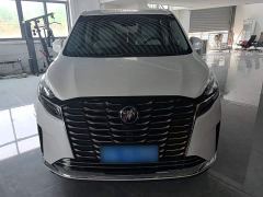 Buick GL8 ES Land Executive Luxury Enjoyable Edition - ფოტო 2