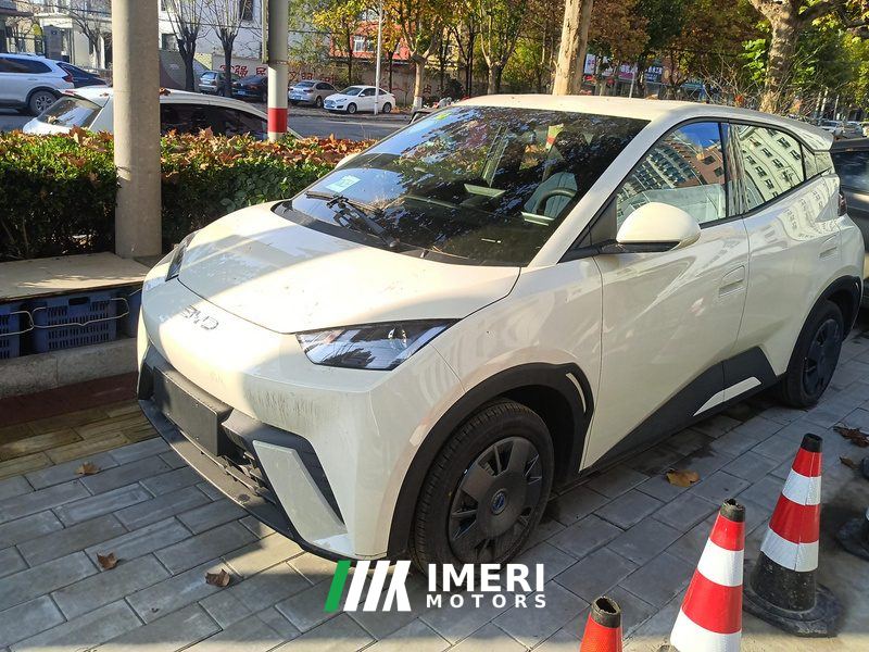 BYD Seagull 305km Vitality Edition
