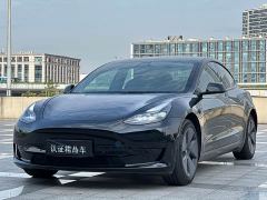 Tesla Model 3 Rear-Wheel Drive - ფოტო 1