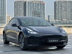 Tesla Model 3 Rear-Wheel Drive - ფოტო 3