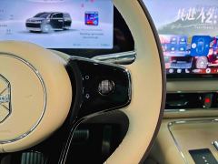 Luxeed Zhiji V9 Max - ფოტო 20