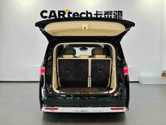 Luxeed Zhiji V9 Max - ფოტო 6