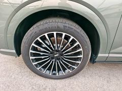 WEY Blue Mountain Intelligent Advanced Edition Four-Wheel Drive Max - ფოტო 19