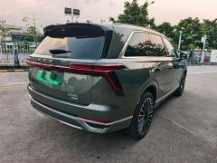 WEY Blue Mountain Intelligent Advanced Edition Four-Wheel Drive Max - ფოტო 5