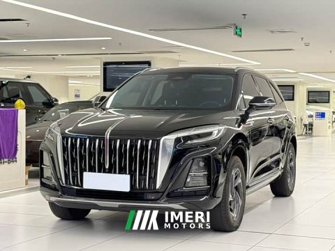 2025 Hongqi HS3 1.5T Double clutch two-wheel drive good for the plate - car from China