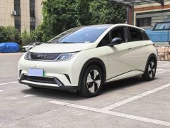 BYD Dolphin 420km Stylish Edition - ფოტო 1
