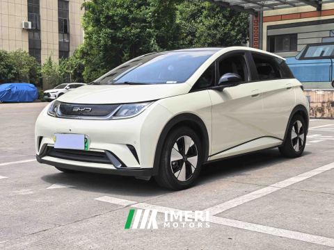 2023 BYD Dolphin 420km Stylish Edition - ავტომობილი ჩინეთიდან