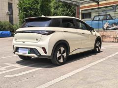 BYD Dolphin 420km Stylish Edition - ფოტო 6