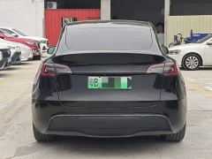 Tesla Model Y Rear-Wheel Drive - ფოტო 5
