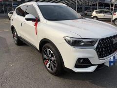Haval H6 National Trend Edition 1.5T Automatic Champion Version - ფოტო 2