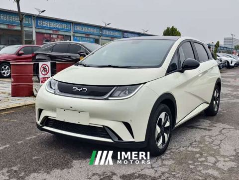 2024 BYD Dolphin Glory Edition 420km Fashion Version - автомобиль из Китая