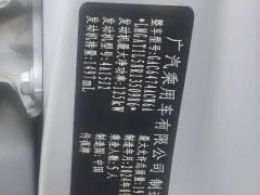 GAC Aion GS4 MAX 1.5T Pilot Edition - photo 15