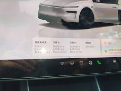 Tesla Model Y Rear-Wheel Drive - ფოტო 11