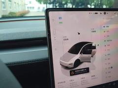 Tesla Model Y Rear-Wheel Drive - ფოტო 13