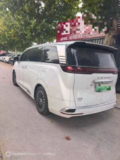 Denza D9 DM-i 1040 Premium - photo 5