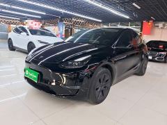 Tesla Model Y Long Range All-Wheel Drive - photo 1