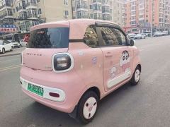 Bestune Besturn Xiaoma 222km Lightning Edition - ფოტო 6