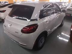 Wuling Binguo 203km Light Enjoy Edition - ფოტო 6