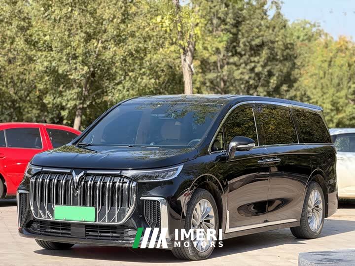 Voyah Lantu Dreamchaser Low Carbon Edition Family
