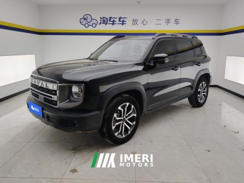 2024 Haval Great Wall Big Dog 1.5T 2WD Labrador Edition - ავტომობილი ჩინეთიდან