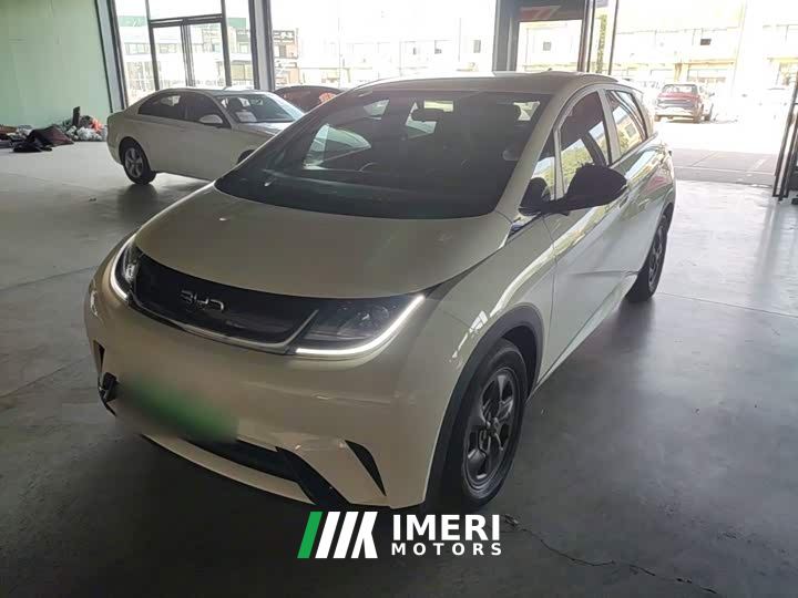 BYD Dolphin Glory Edition 302km Vitality Version - car from China