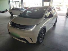 BYD Dolphin Glory Edition 302km Vitality Version - photo 1