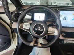 BYD Dolphin Glory Edition 302km Vitality Version - photo 10