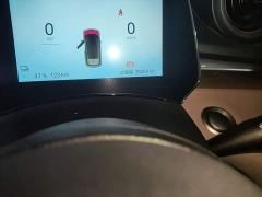 BYD Dolphin Glory Edition 302km Vitality Version - photo 11