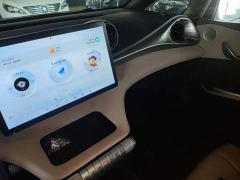BYD Dolphin Glory Edition 302km Vitality Version - photo 12
