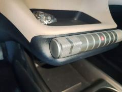 BYD Dolphin Glory Edition 302km Vitality Version - photo 13